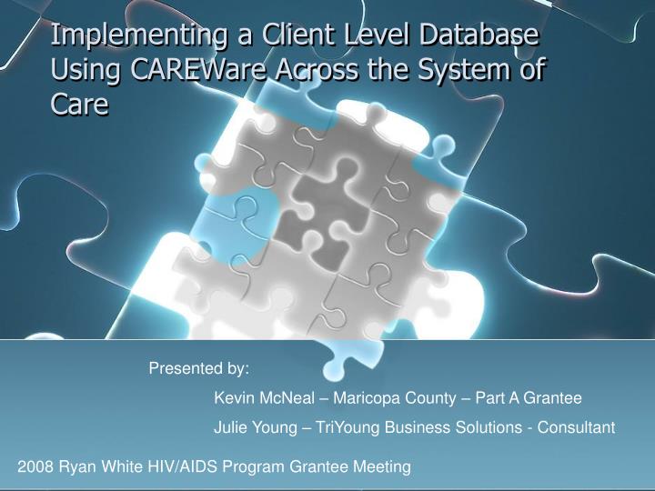 implementing a client level database using careware across the system of care