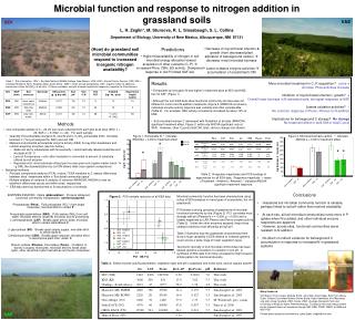 Microbial function and response to nitrogen addition in grassland soils