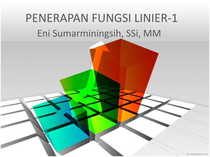 penerapan fungsi linier 1