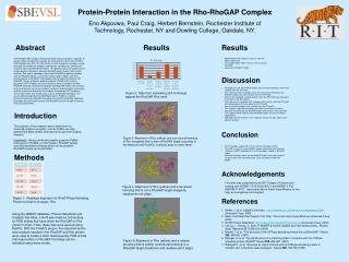 Protein-Protein Interaction in the Rho-RhoGAP Complex