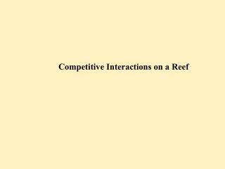Competitive Interactions on a Reef