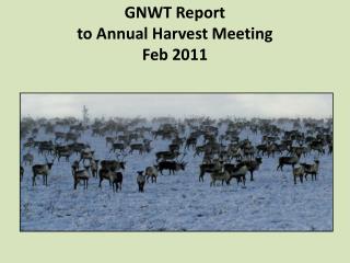 GNWT Report to Annual Harvest Meeting Feb 2011