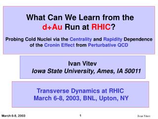 What Can We Learn from the d+Au Run at RHIC ?