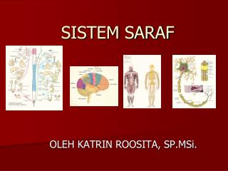 sistem saraf