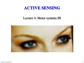 ACTIVE SENSING