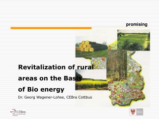 Revitalization of rural areas on the Basis of Bio energy Dr. Georg Wagener-Lohse, CEBra Cottbus
