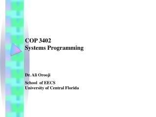 COP 3402 Systems Programming