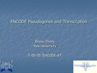 ENCODE Pseudogenes and Transcription