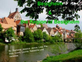 Besigheim &amp; the Region of Besigheim