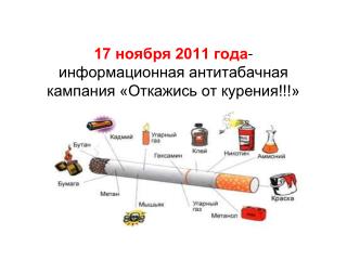 17 ноября 2011 года - информационная антитабачная кампания «Откажись от курения!!!»