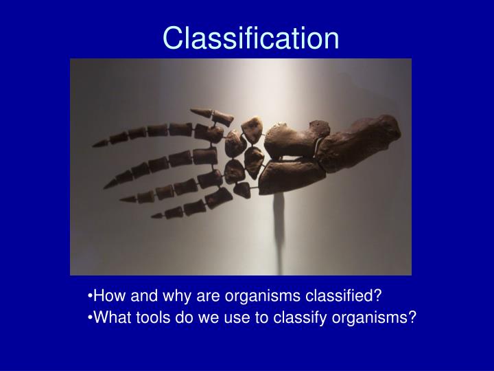 classification