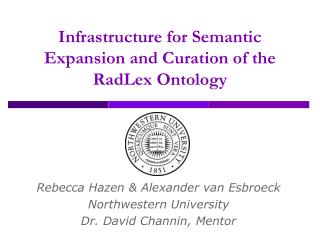 Infrastructure for Semantic Expansion and Curation of the RadLex Ontology