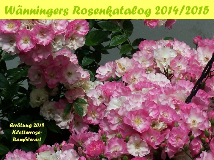 w nningers rosenkatalog 2014 2015