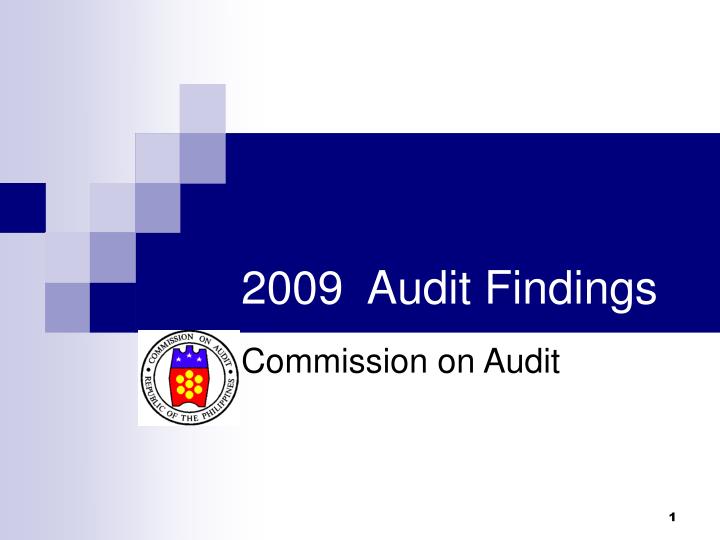2009 audit findings