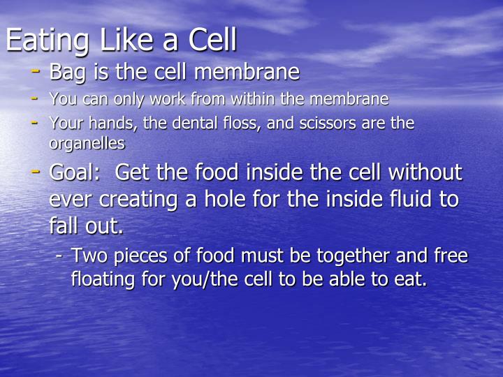 eating like a cell