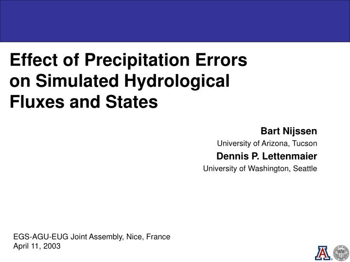 effect of precipitation errors on simulated hydrological fluxes and states