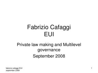 Fabrizio Cafaggi EUI