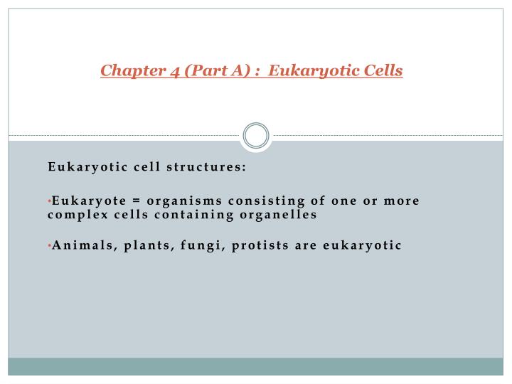 chapter 4 part a eukaryotic cells