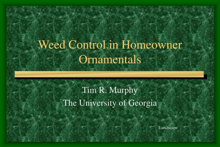 weed control in homeowner ornamentals