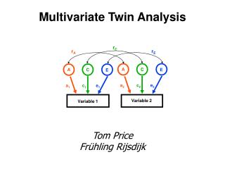 Multivariate Twin Analysis