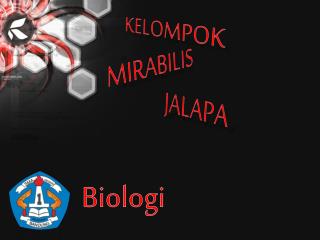 m ir abilis