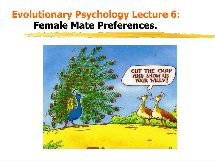 evolutionary psychology lecture 6 female mate preferences