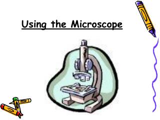 Using the Microscope