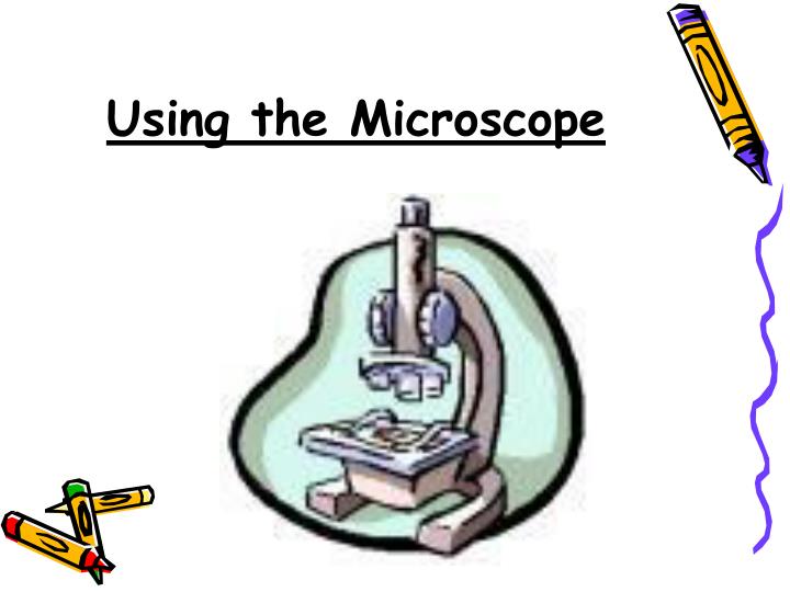 using the microscope