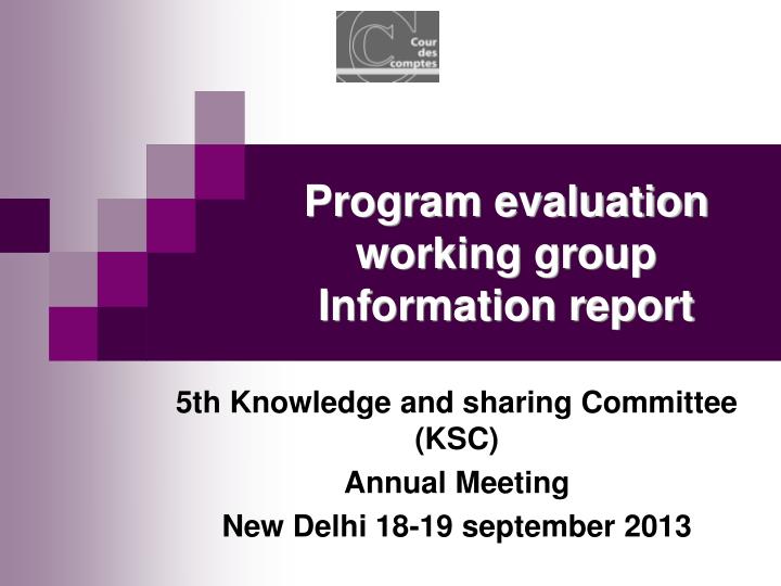program evaluation working group information report