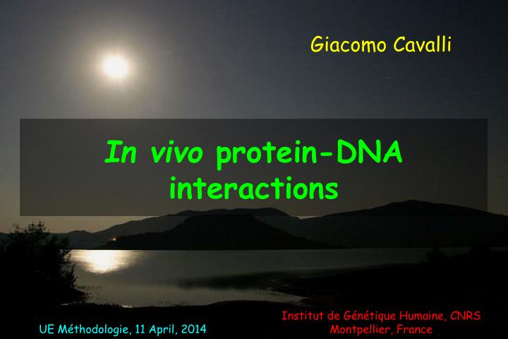in vivo protein dna interactions