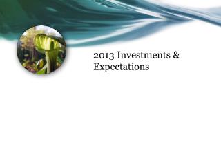 2013 Investments &amp; Expectations