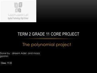 Term 2 grade 11 core project