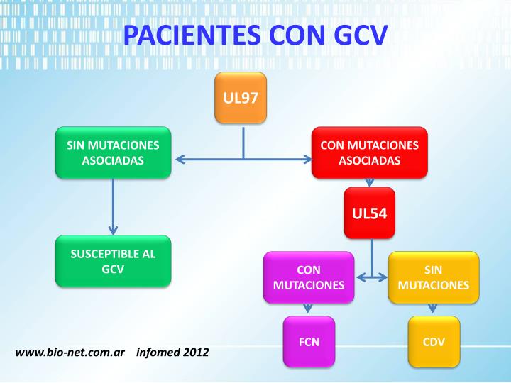 pacientes con gcv