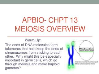 APBIO- Chpt 13 Meiosis Overview