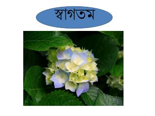 স্বাগতম