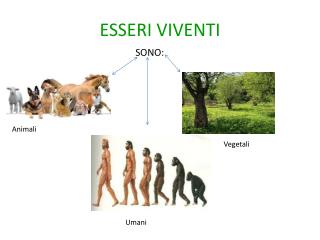 esseri viventi
