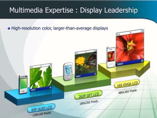 Multimedia Expertise : Display Leadership