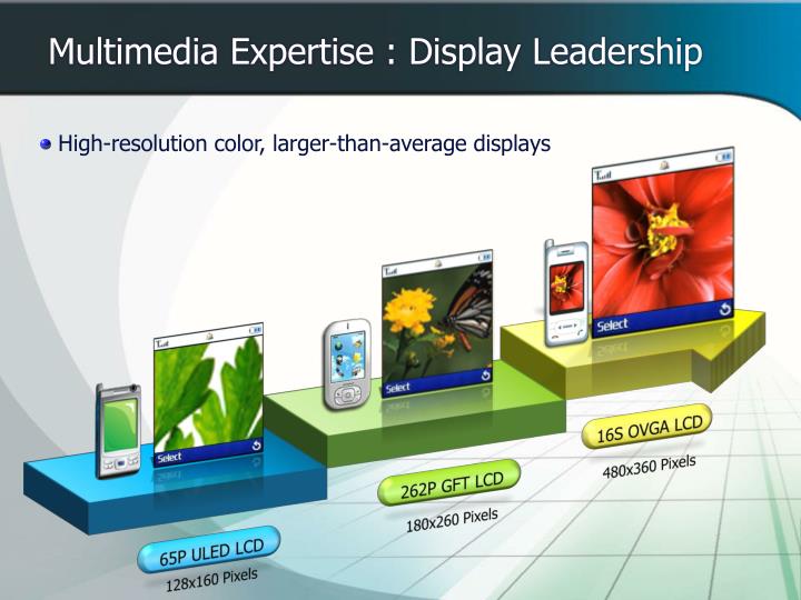 multimedia expertise display leadership