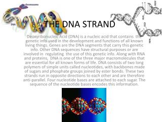 THE DNA STRAND