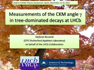 Measurements of the CKM angle g in tree-dominated decays at LHCb