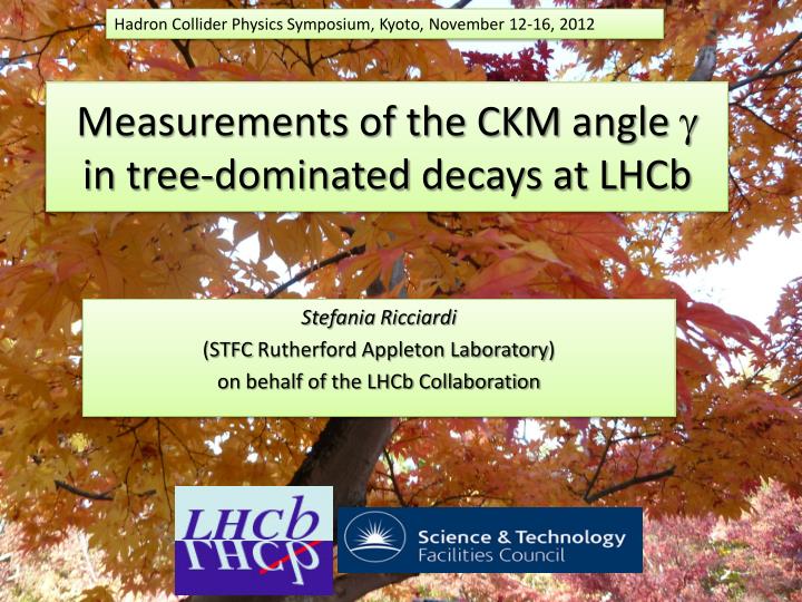 measurements of the ckm angle g in tree dominated decays at lhcb