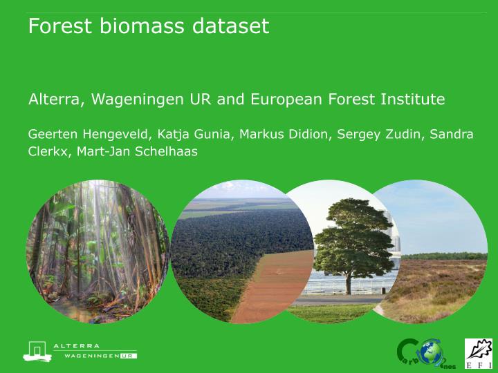 forest biomass dataset