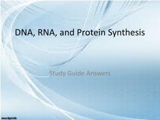 DNA , RNA, and Protein Synthesis