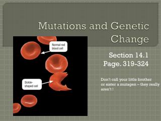 Mutations and Genetic Change