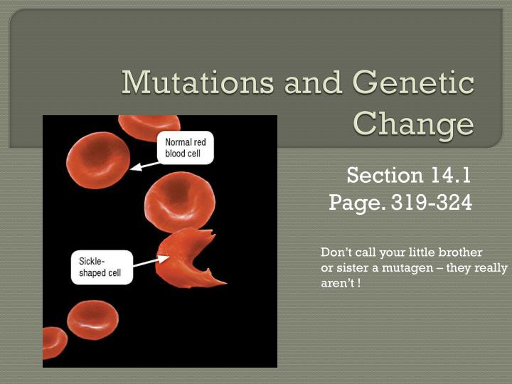 mutations and genetic change