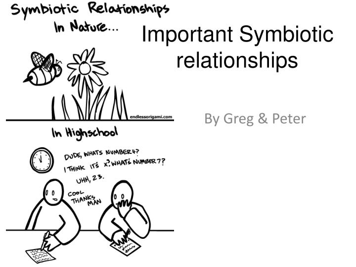 important symbiotic relationships