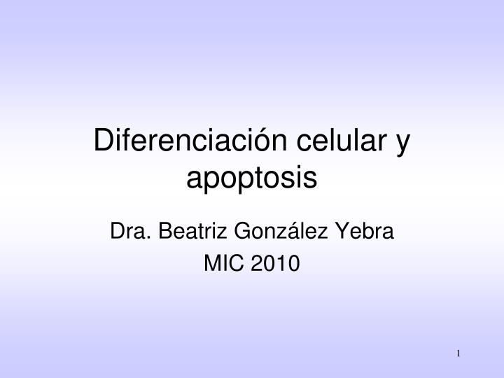 diferenciaci n celular y apoptosis