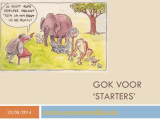 gok voor starters