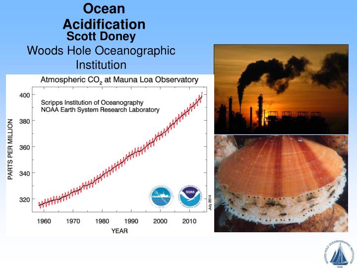 ocean acidification