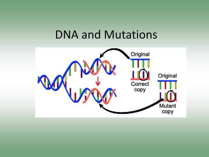 dna and mutations